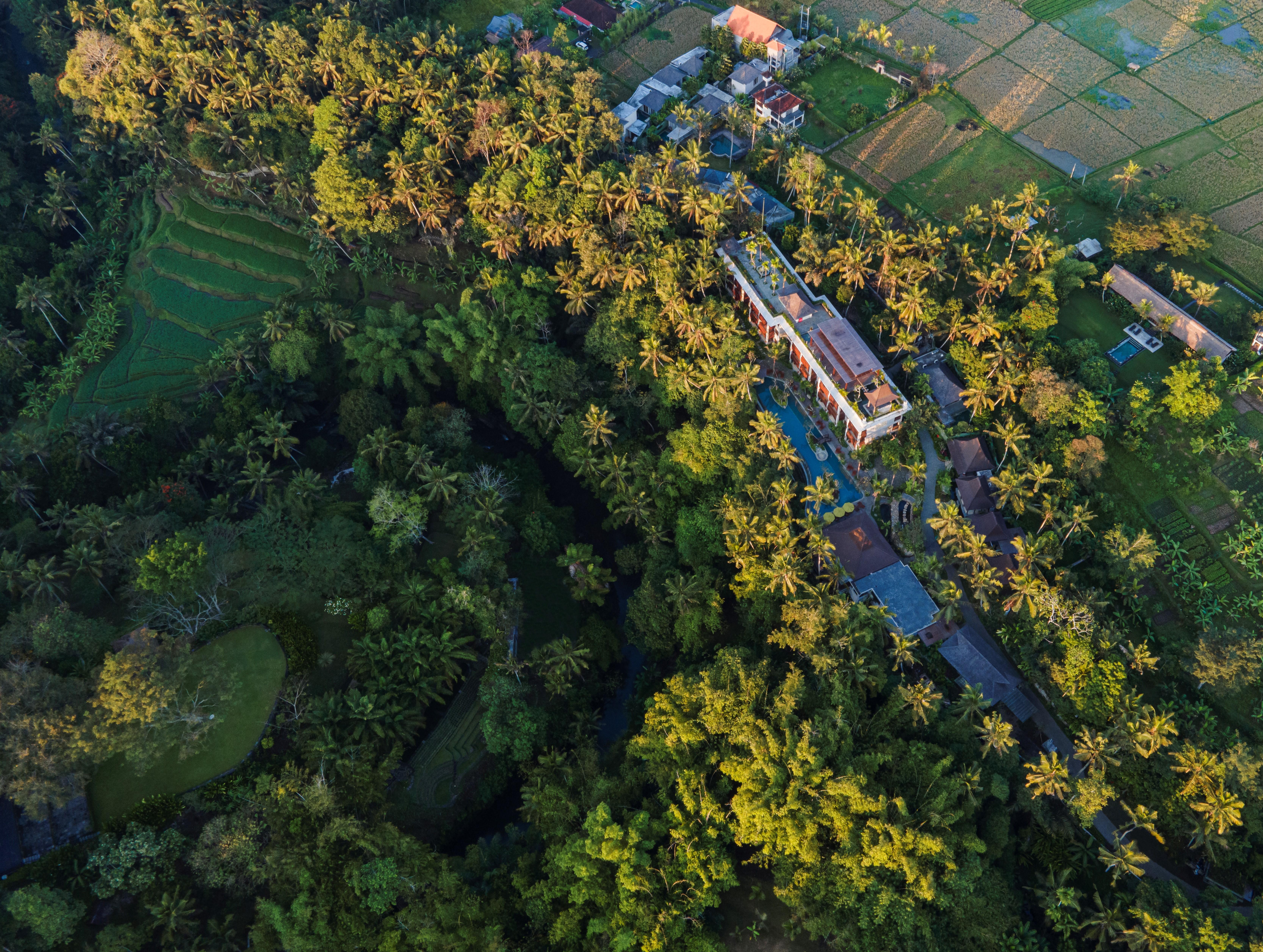 Arkamara Dijiwa Ubud ภายนอก รูปภาพ